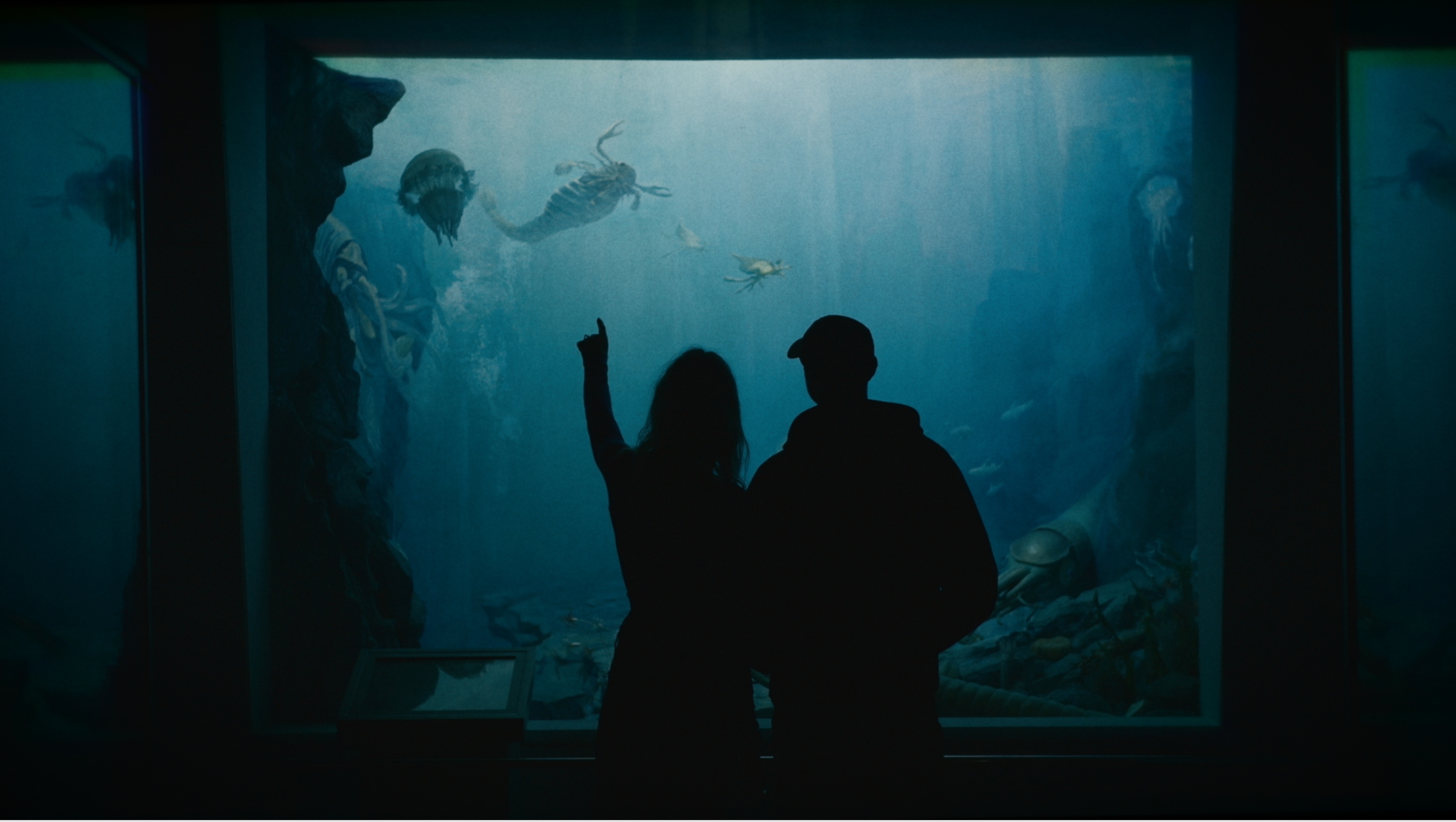 Snapthatback x National Museum of Nature History