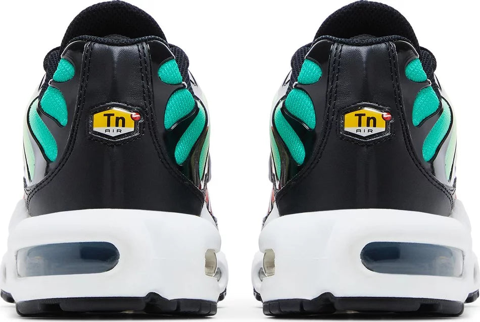 Nike Air Max Plus 'Rainbow'