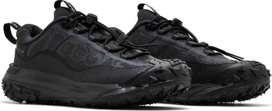 Nike ACG Mountain Fly 2 Low GORE-TEX 'Dark Smoke Grey'