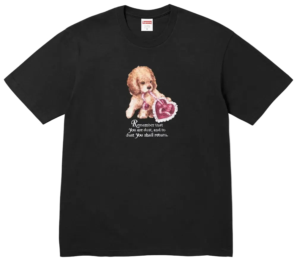 Supreme Dust Tee 'Black'