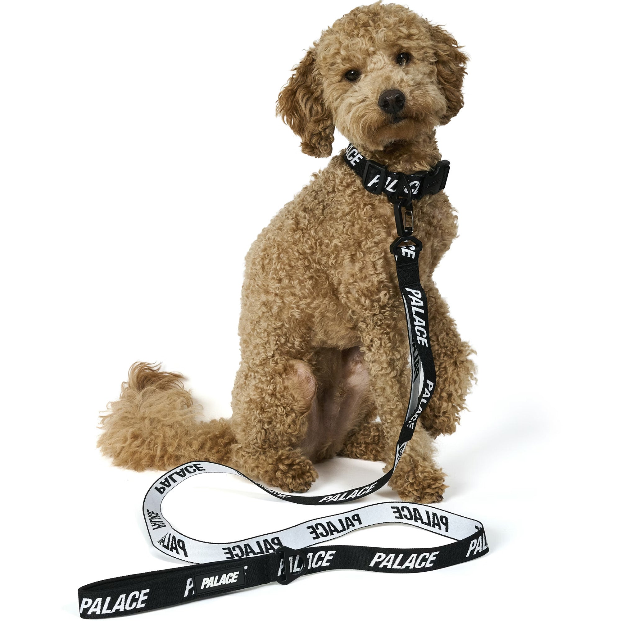 Palace JACQUARDED DOG COLLAR AND LEAD BLACK