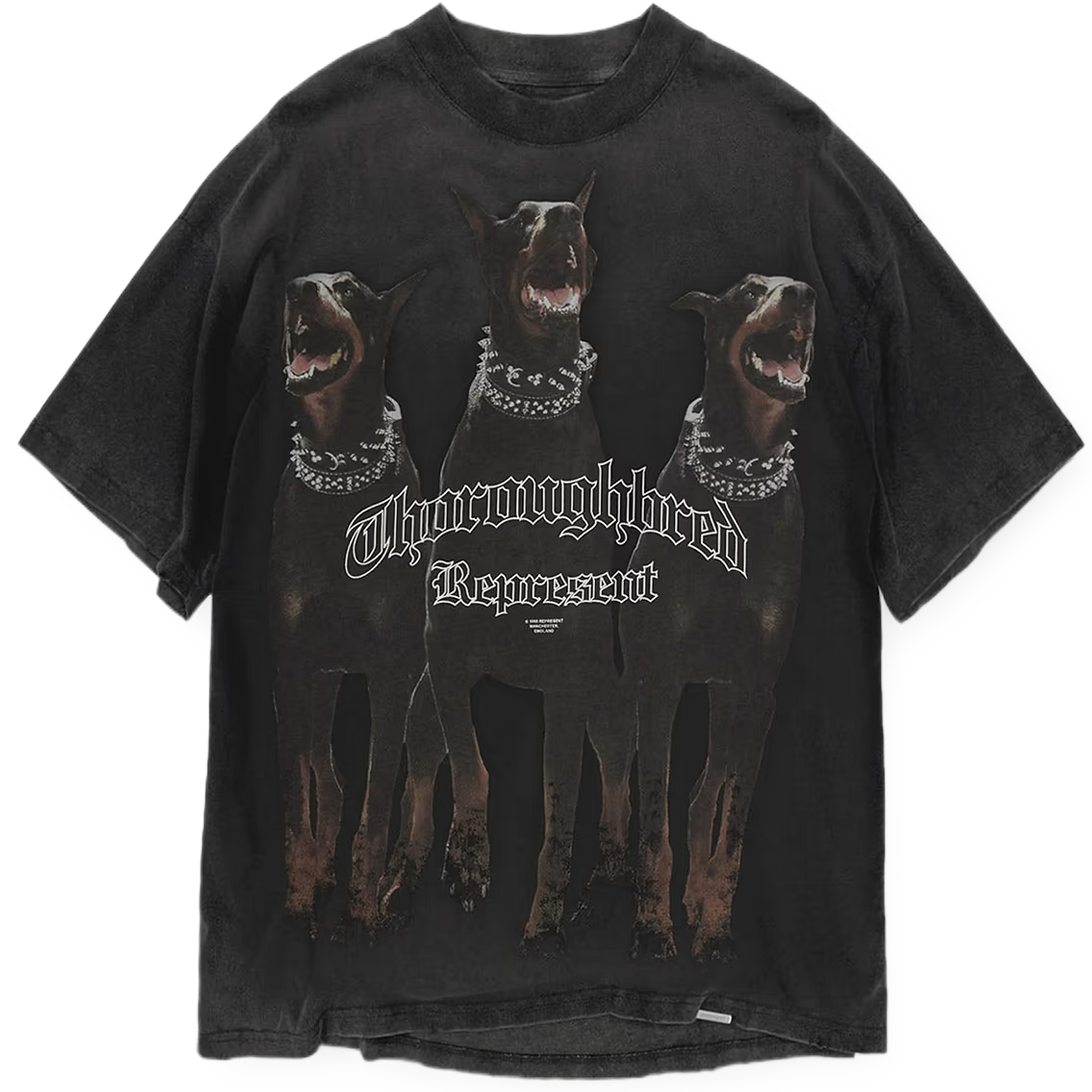 Represent Thoroughbred T-Shirt Vintage Black