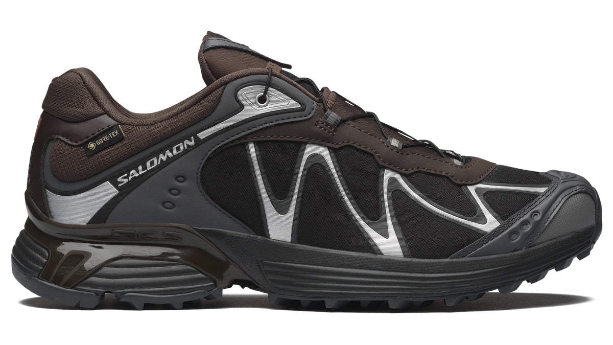 Salomon XT-Whisper Gore-Tex Delicioso Asphalt
