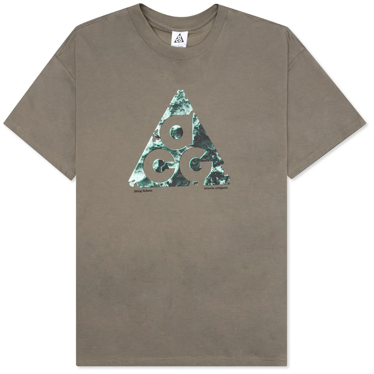 Nike Acg T-Shirt Brown