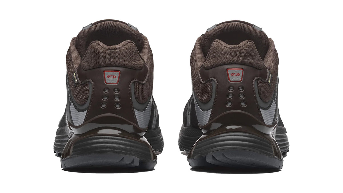 Salomon XT-Whisper Gore-Tex Delicioso