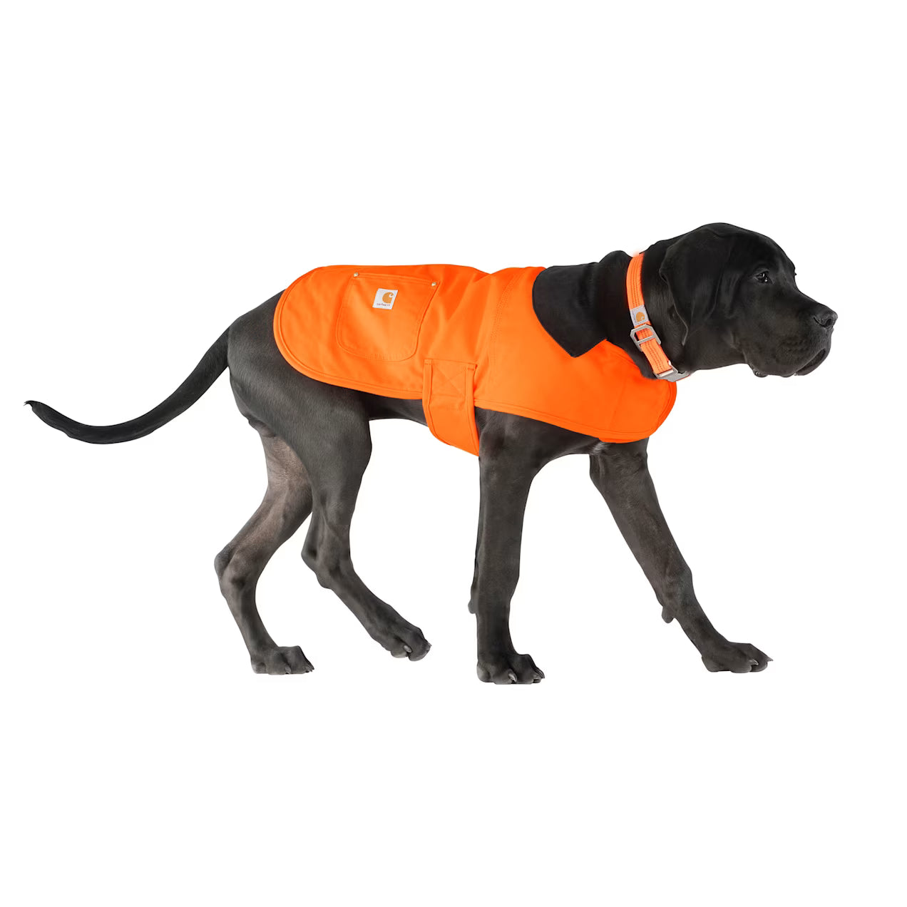 Carhartt Pet Firm Duck Insulated Dog Chore Coat Jacket Neon Orange