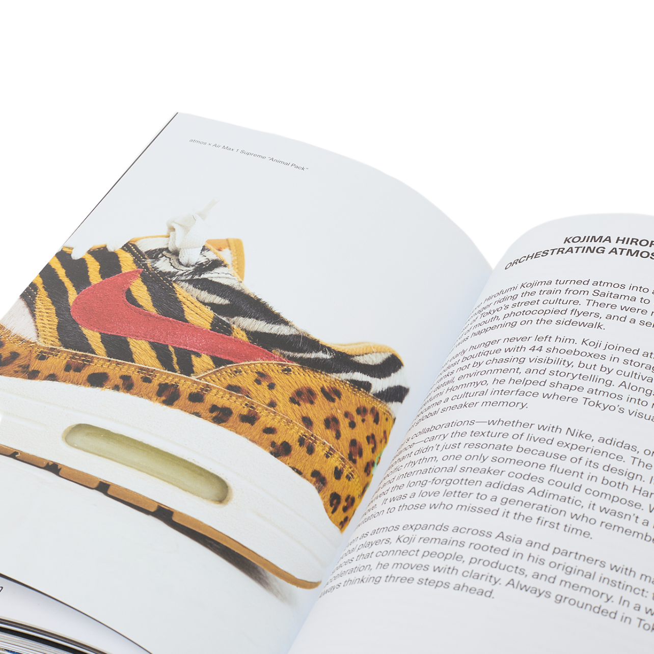 Eternal Sole – A Chronicle of Sneaker Culture