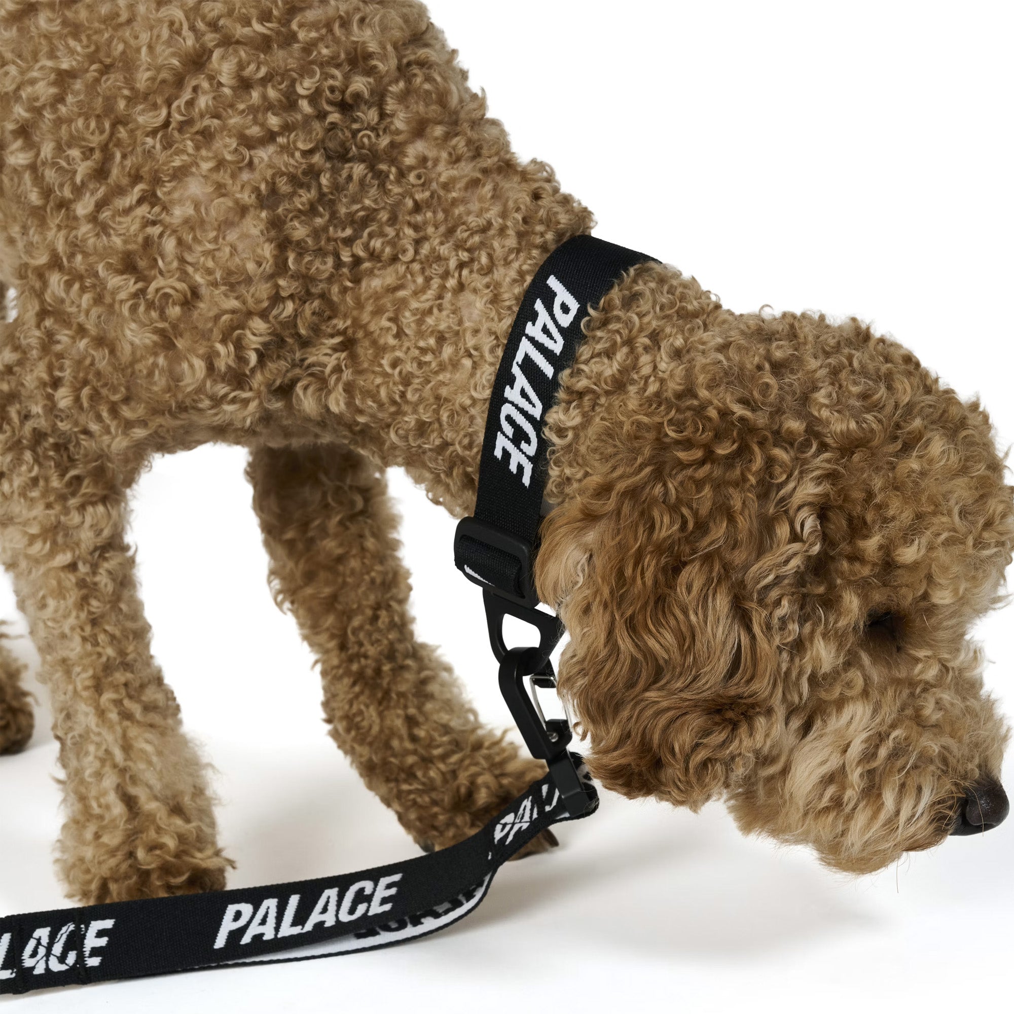 Palace JACQUARDED DOG COLLAR AND LEAD BLACK