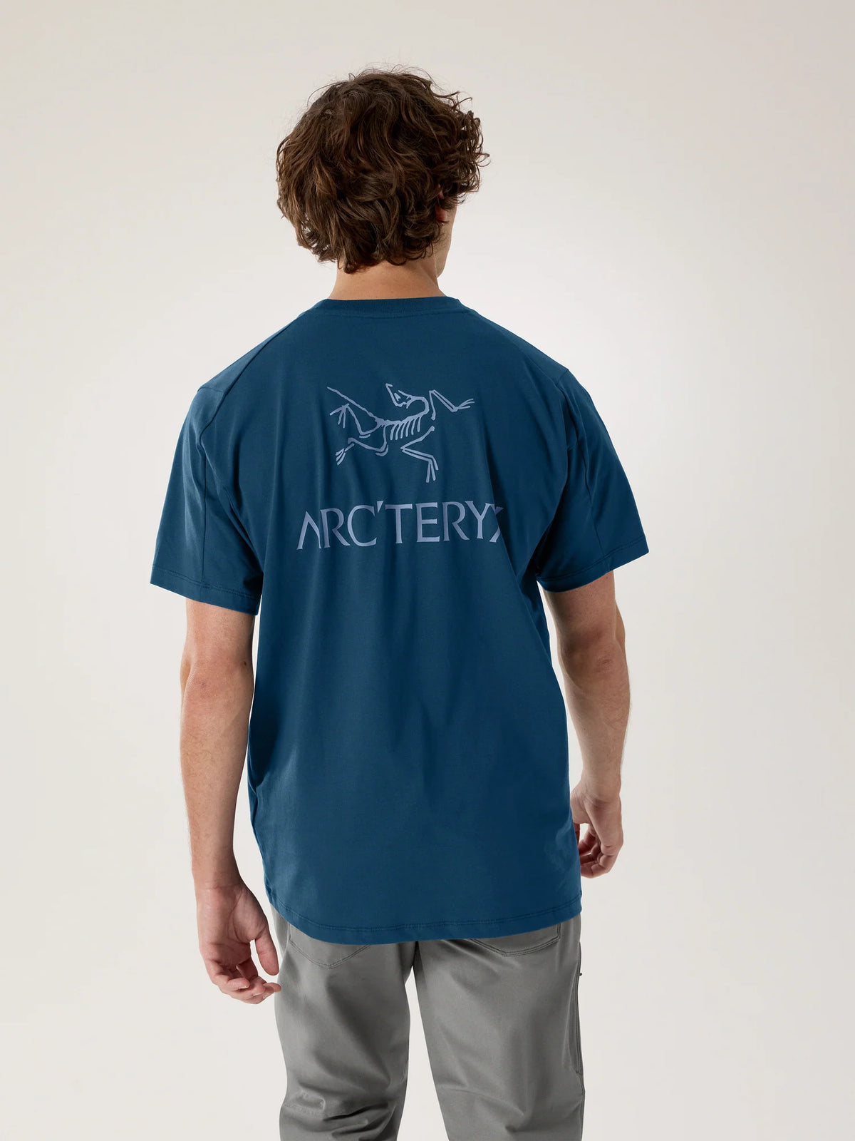 Arc'teryx Kragg SL Cotton Bird Word  Nightscape/Light Night