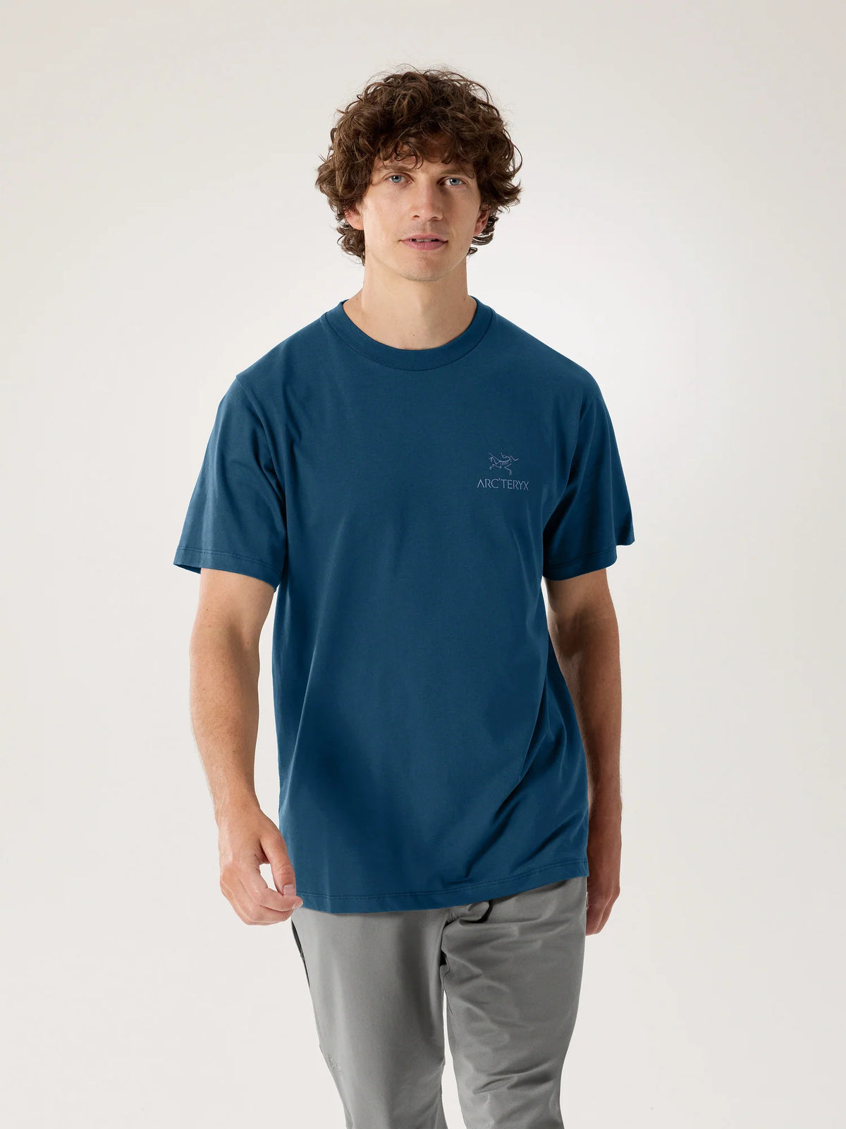 Arc'teryx Kragg SL Cotton Bird Word  Nightscape/Light Night