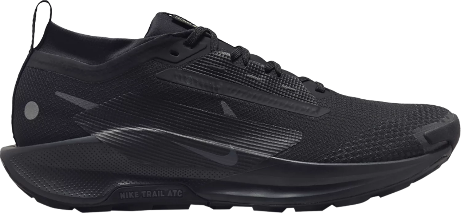 Nike Pegasus Trail 5 GORE-TEX 'Black Anthracite'