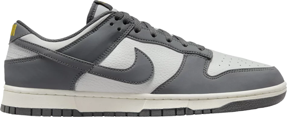 Nike Dunk Low Next Nature 'Iron Grey Lightning'