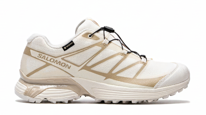 Salomon XT-Pathway Gore-tex Vanila