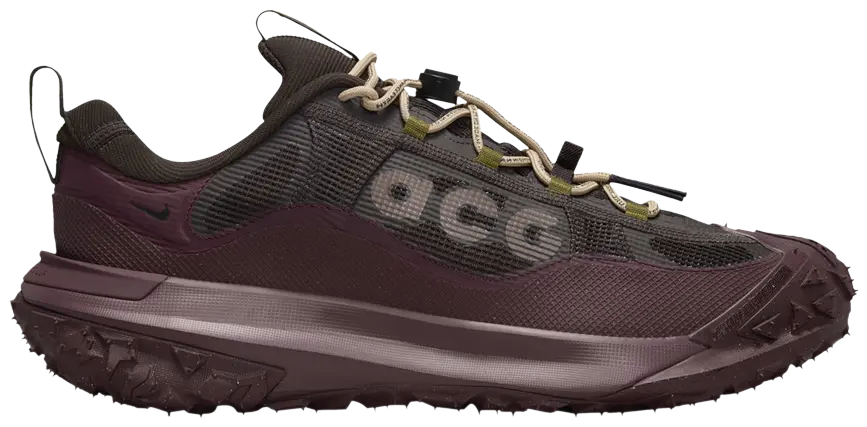 Nike ACG Mountain Fly 2 Low GORE-TEX 'Velvet Brown'