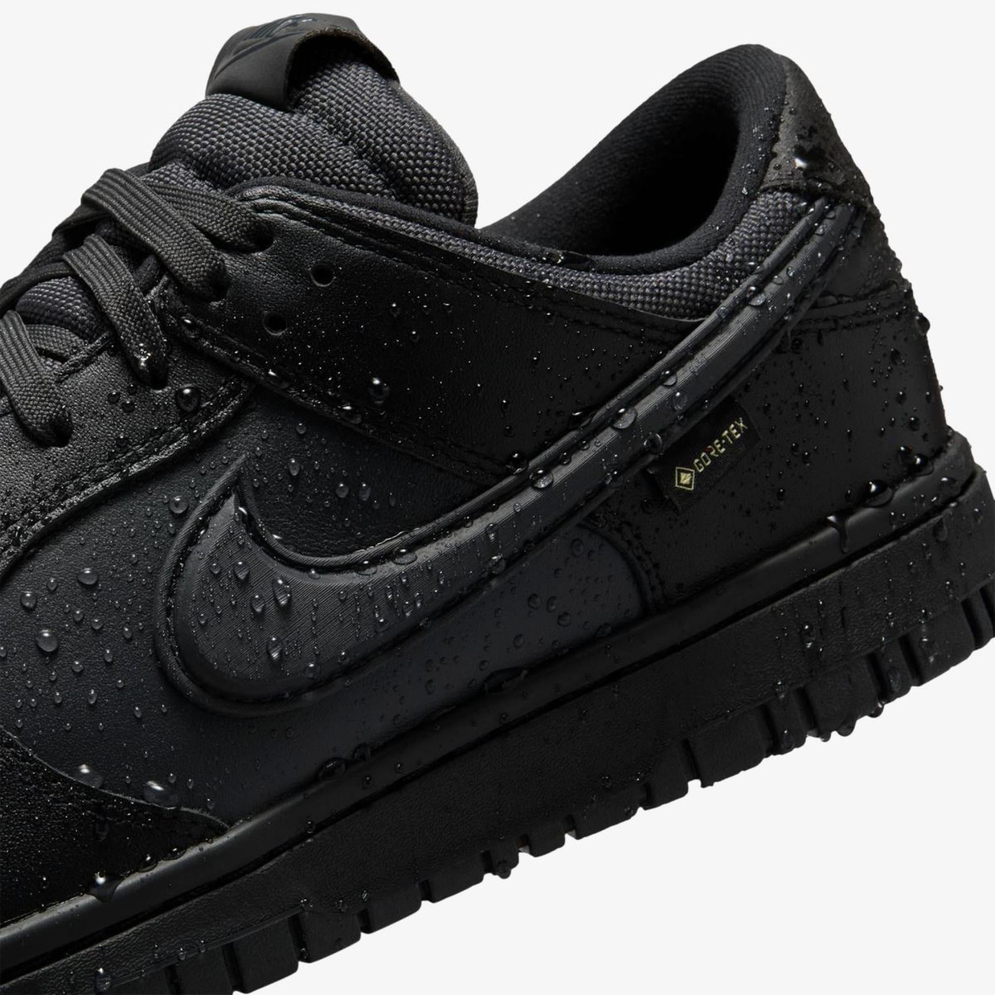 Nike Dunk Low Gore-Tex Triple Black
