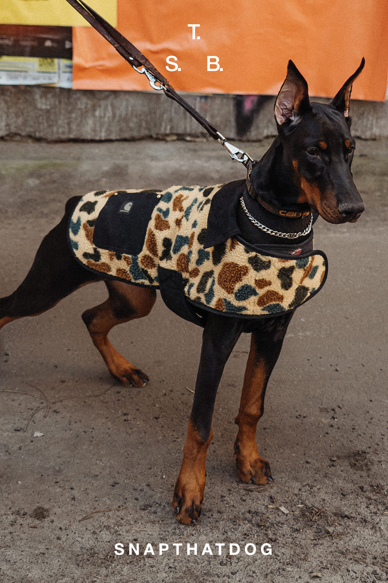 SNAPTHATBACK – твій пароль від світу кросівок. – Snapthatback