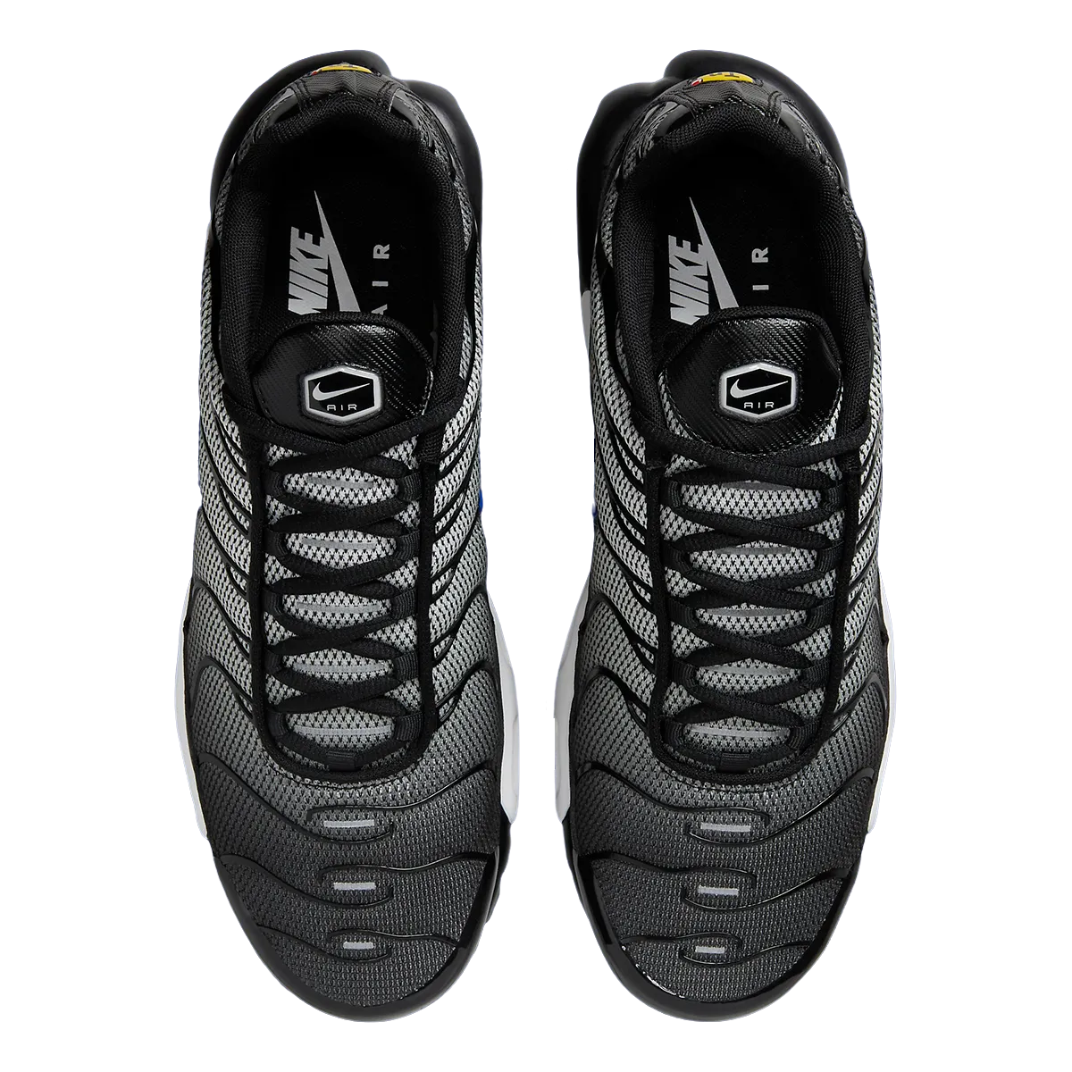 Nike Air Max Plus "Black/Anthracite/Racer Blue"