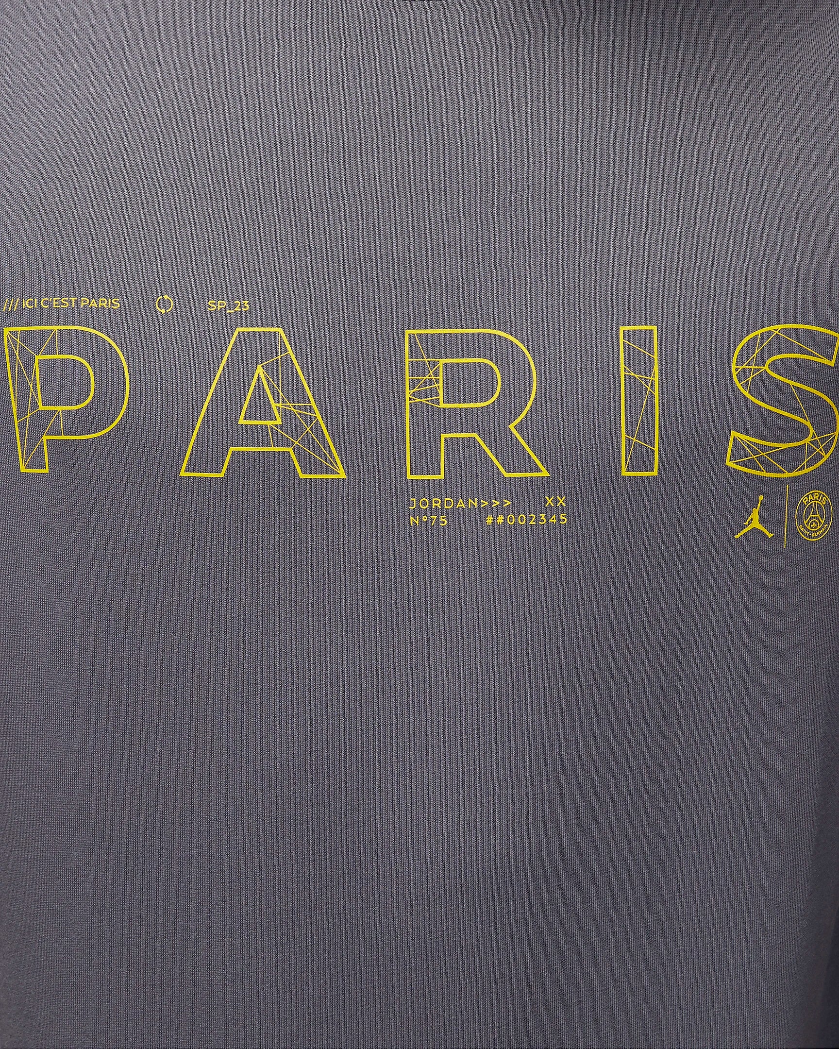 Nike Paris Saint-Germain T-Shirt Grey