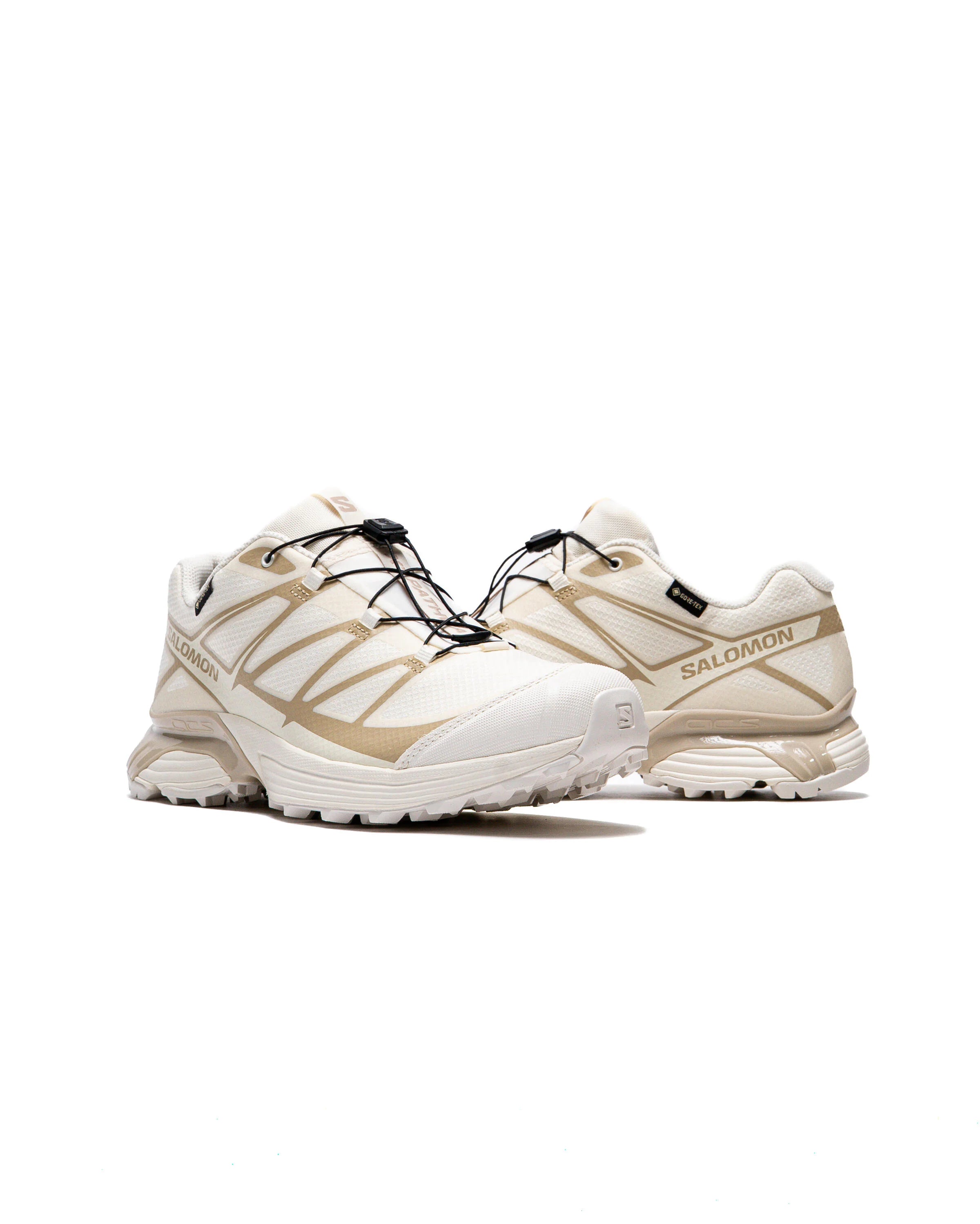 Salomon XT-Pathway Gore-tex Vanila
